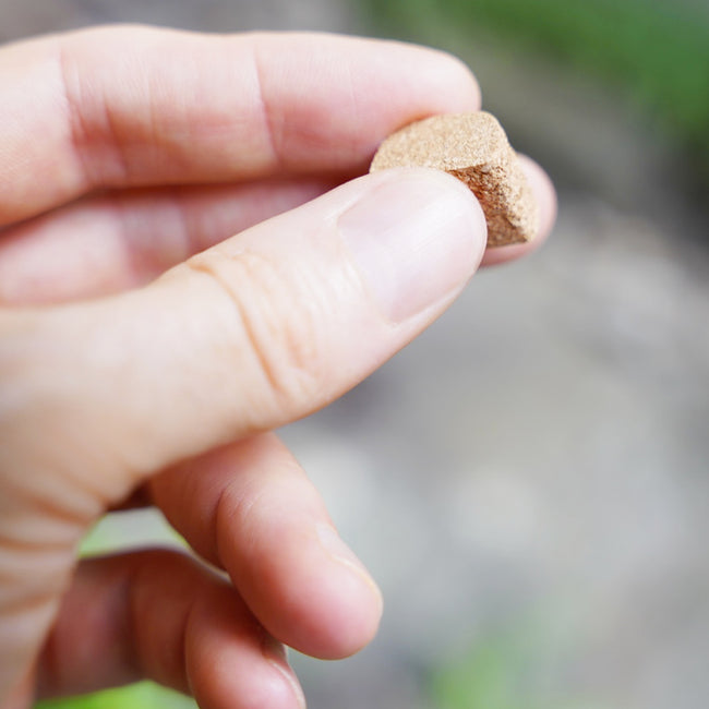 Correct Toes StableToe Steel Blue