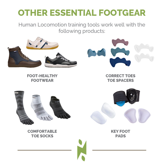 Human Locomotion Two-to-One Ankle Rockboard